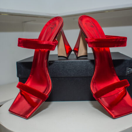Giuseppe Zanotti Flaminia